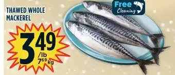 Marché Adonis Thawed whole mackerel offer