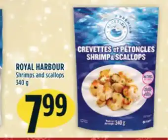 Marché Adonis Royal harbour shrimps and scallops offer