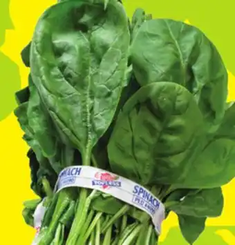 FreshCo Bunch spinach product of usa or mexico offer