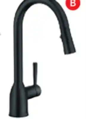 RONA Adler pull-down kitchen faucets offer