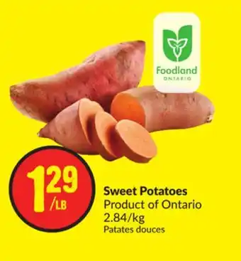 FreshCo Sweet potatoes product of ontario 2.84/kg offer