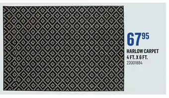 Canac Harlow carpet 4 ft. x 6 ft offer