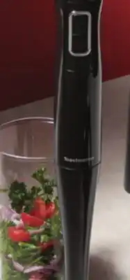 Walmart Toastmaster immersion blender offer