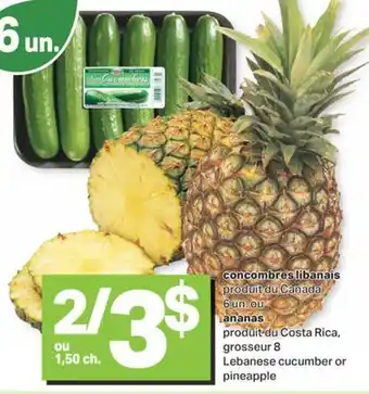 L'Intermarché Concombres libanais ou ananas offer
