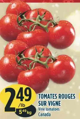 Marché Adonis Tomates rouges sur vigne offer