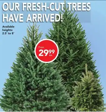Réno Dépôt Fresh-cut trees offer