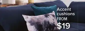 Leon's Accent cushions offer