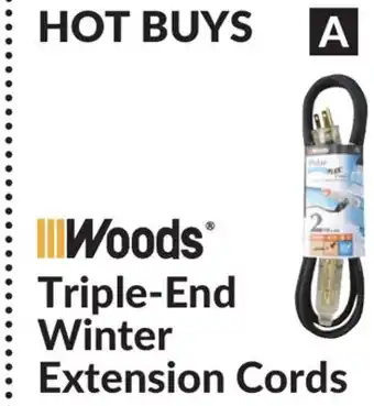 Princess Auto 6.6 ft 16/3 triple-end winter extension cords offer