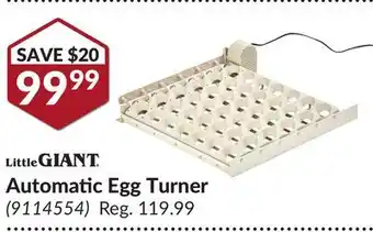 Princess Auto Automatic egg turner offer