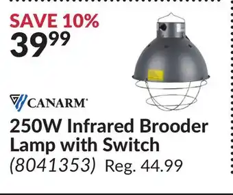 Princess Auto 250w infrared brooder lamp with switch offer