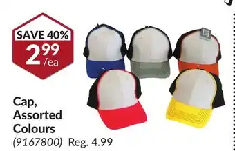 Princess Auto Cap, assorted colours offer