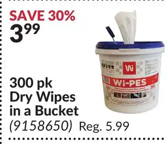 Princess Auto 300 pk dry wipes in a bucket offer