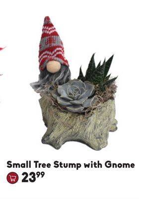 Sheridan Nurseries Small tree stump with gnome offer