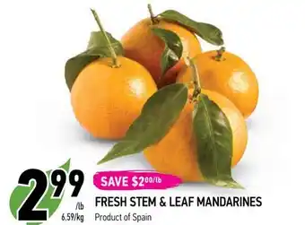 Coppa's Fresh Market Fresh stem & leaf mandarines offer