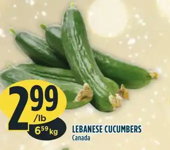 Marché Adonis Lebanese cucumbers offer