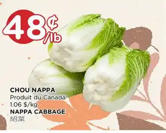Kim Phat Nappa cabbage offer