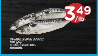 Kim Phat Boston mackerel offer