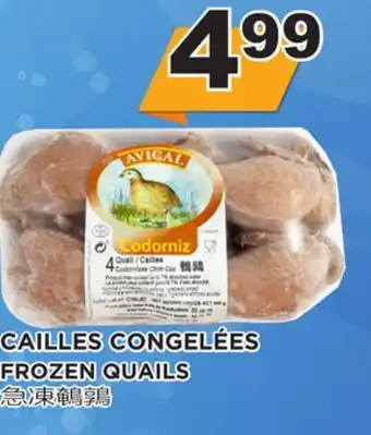 Kim Phat Frozen quails offer