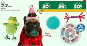 Ren’s Pets Depot Select dog toys offer