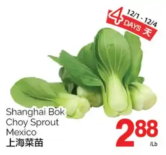 T&T Supermarket Shanghai bok choy sprout offer