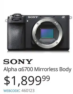 Vistek Sony mirrorless body offer