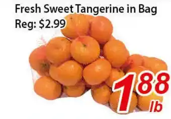 Seasons Foodmart Fresh sweet tangerine in bag offer