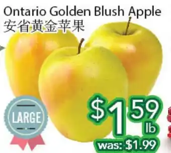 Ample Food Market Ontario golden blush apple offer