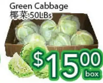 Ample Food Market Green cabbage offer