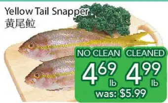 Ample Food Market Yellow tail snapper offer