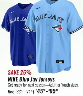 Hockey Life Nike blue jay jerseys offer