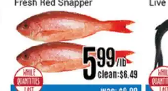 Nations Fresh Foods Fresh red snapper offer