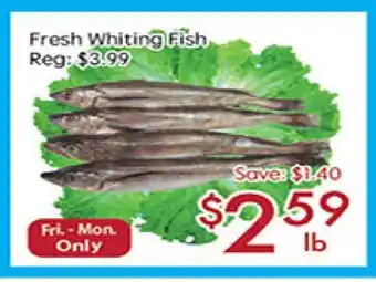 Sunny Food Mart Fresh whiting fish offer