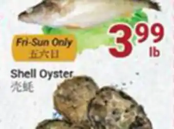 Oceans Fresh Food Market Shell oyster offer