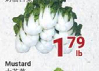 Oceans Fresh Food Market Nai yu bok choy offer