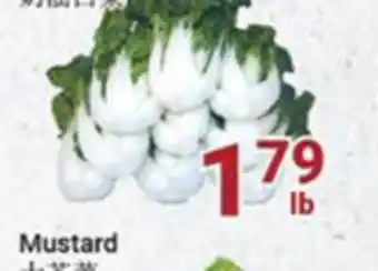 Oceans Fresh Food Market Nai yu bok choy offer