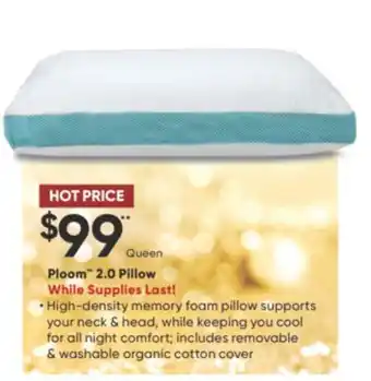 Sleep Country Ploom 2.0 pillow offer