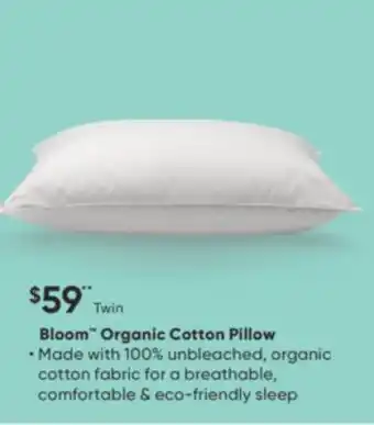 Sleep Country Bloom organic cotton pillow offer