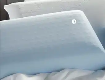 Sleep Country Gelcool with coolmax pillow offer
