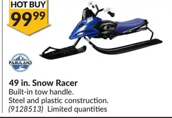 Princess Auto Snow racer offer
