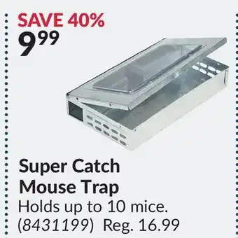 Princess Auto Super catch mouse trap offer