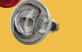 Princess Auto 250w infrared brooder bulbs offer