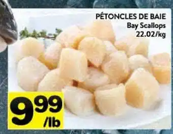Supermarché PA Bay scallops offer