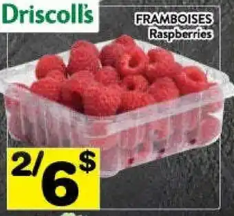 Supermarché PA Driscoll's raspberries offer