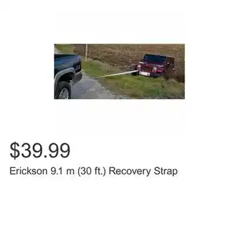 Costco Erickson 9.1 m (30 ft.) recovery strap offer