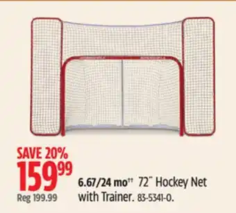 Canadian Tire Winnwell 72˝ hockey net with trainer offer