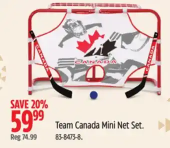 Canadian Tire Winnwell team canada mini net set offer