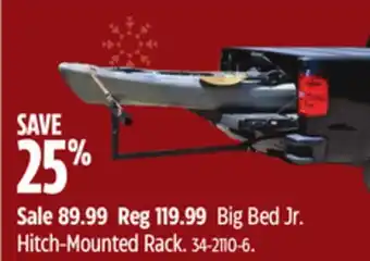 Canadian Tire Big bed jr. hitch-mounted rack offer