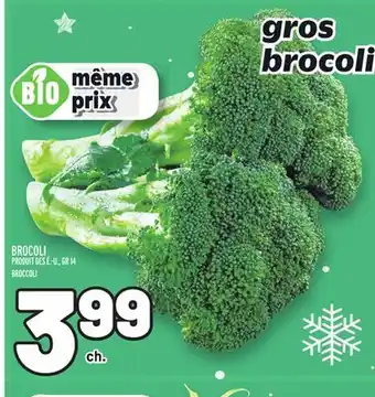 Metro Brocoli | broccoli offer
