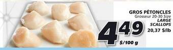 IGA Large scallops offer