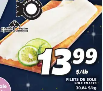 IGA Sole fillets offer